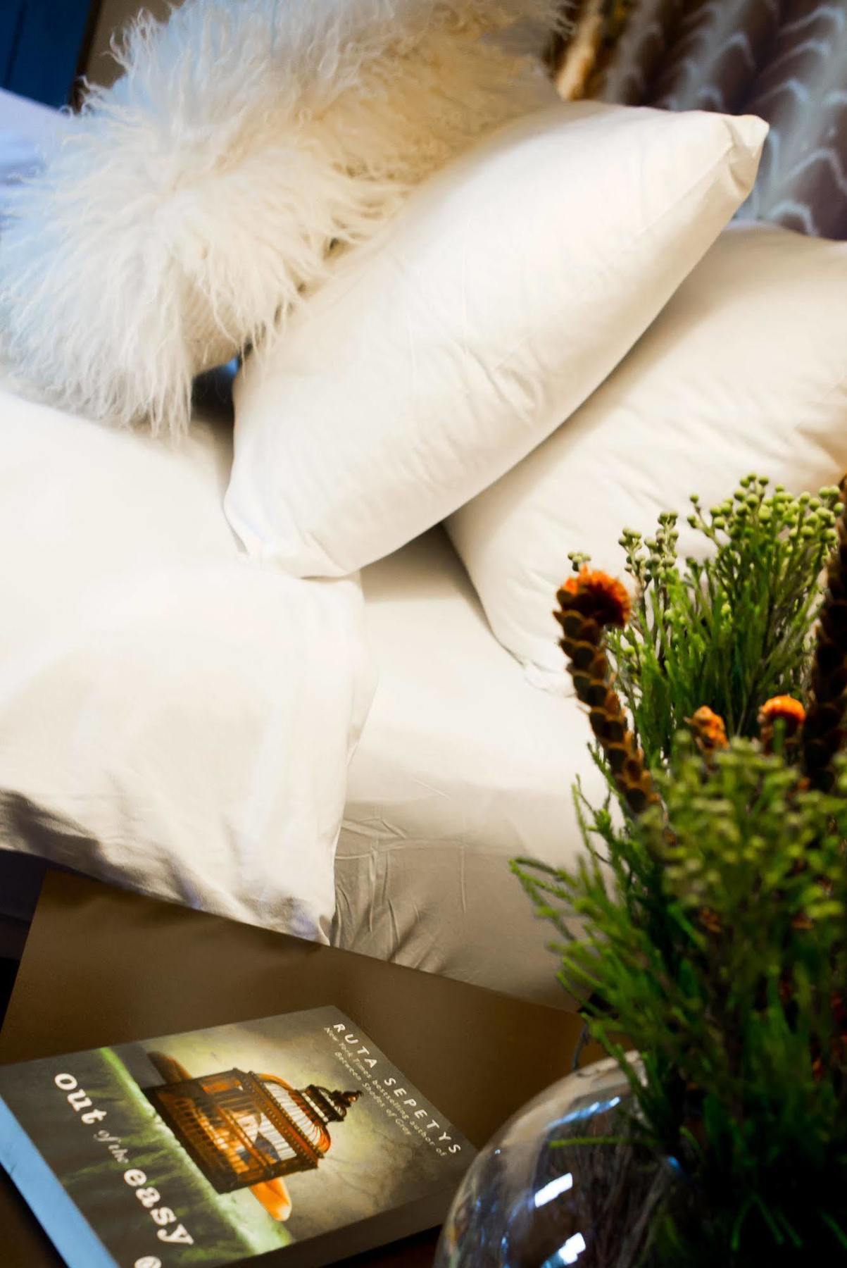 Casa Del Sonder Hotel Fokváros Kültér fotó